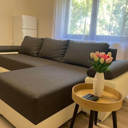 Tulipan Apartman Makó Zewnętrze zdjęcie