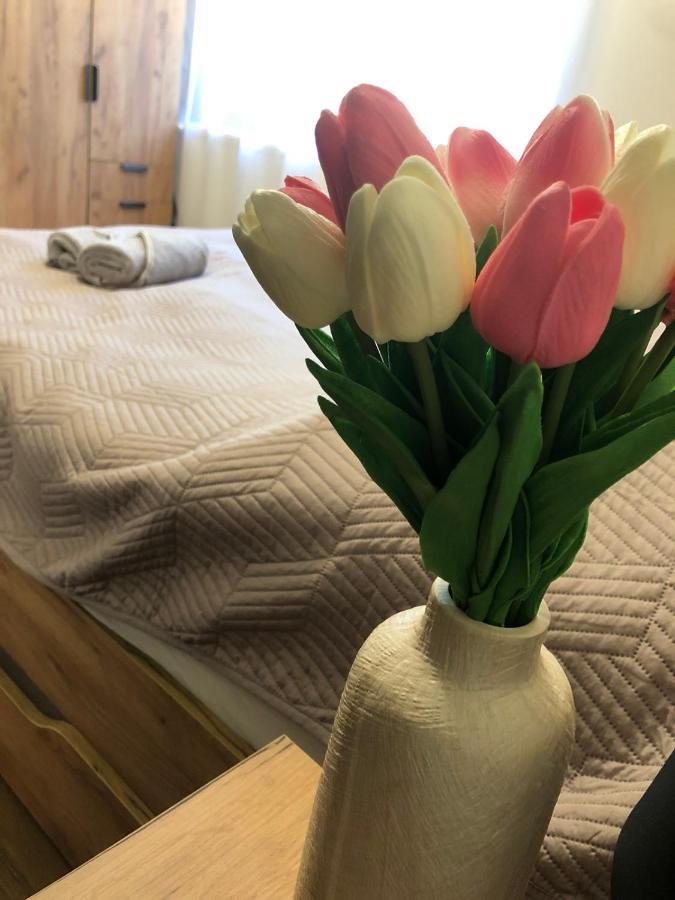 Tulipan Apartman Makó Zewnętrze zdjęcie